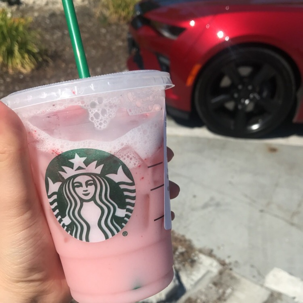 Meet your Posher, Grace